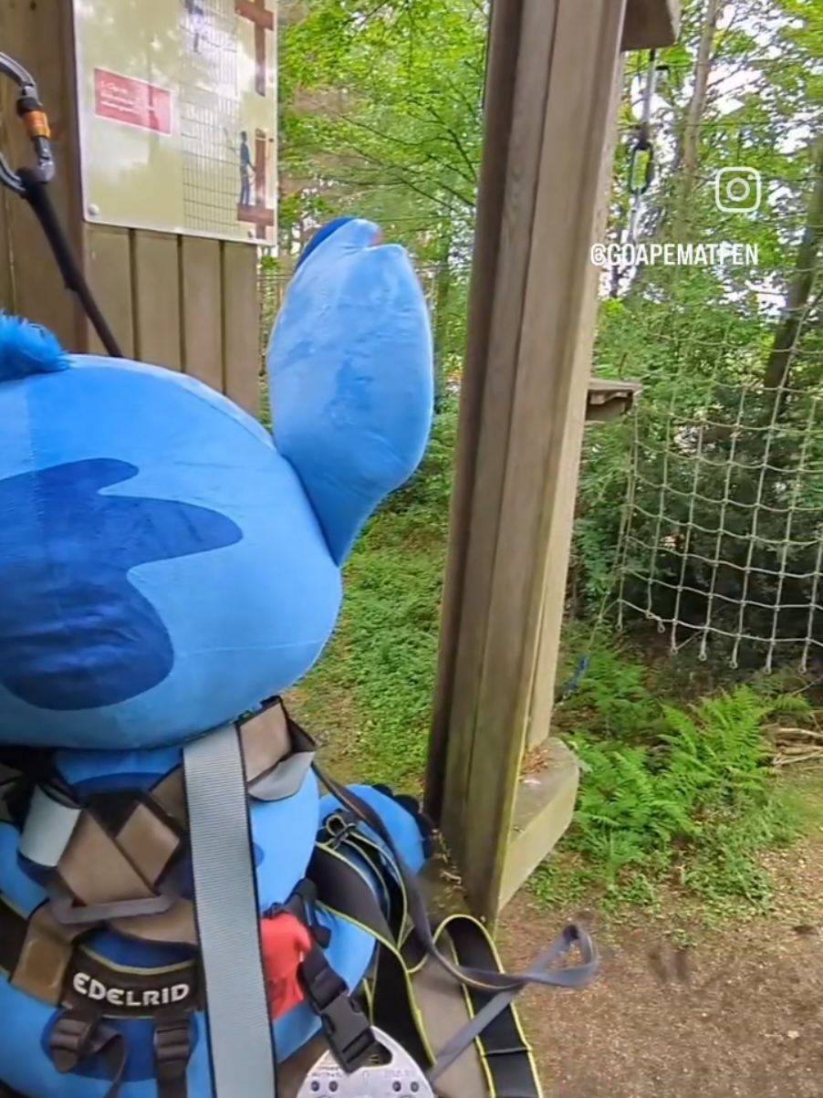 Lucky enough to have Stitch come onto the course this bank holiday weekend. Can you tell we excited for the new movie 😅 We are now open 7 days a week, come and live adventurously! 🐒🌳 #goapenewcastle #goapetribe #goapematfen #goape #Outdoors #challenge #zipline #zipwire #liloandstitch #stitch #fyp #northeast #Northumberland 