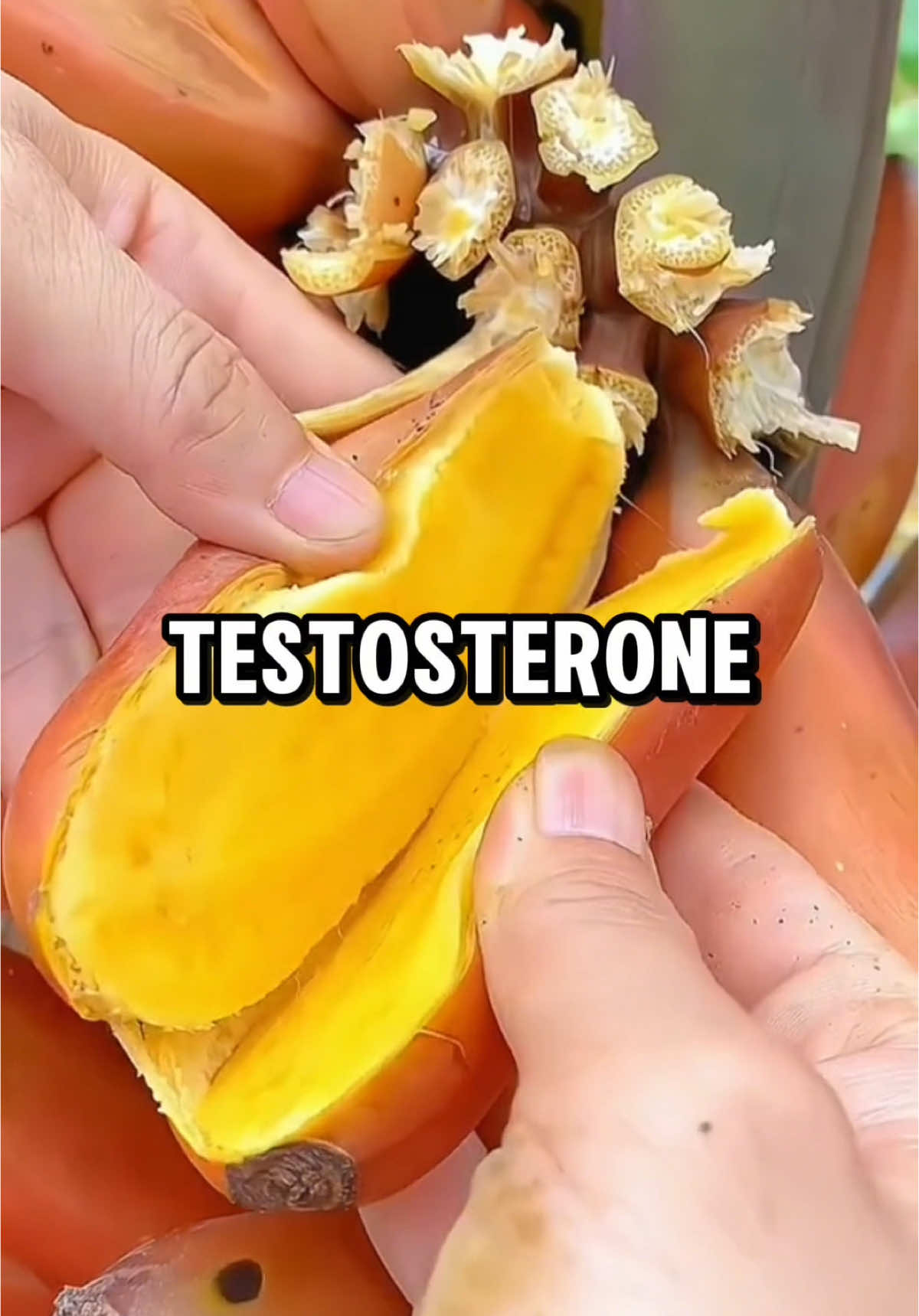 Top 5 fruits to boost testosterone #health 
