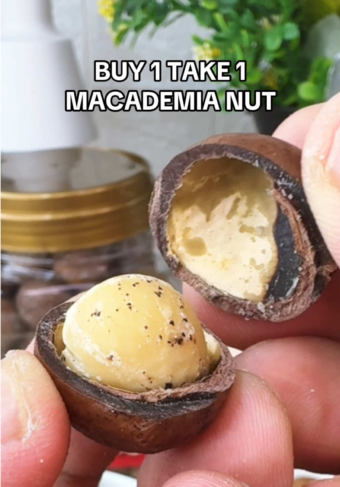 Masarap na Healthy Pa at naka Buy 1 take 1 pa! Check out na ng Macadamia Nut sobrang sulit to!#macadamia #macadamianuts #macadamiabuy1take1 