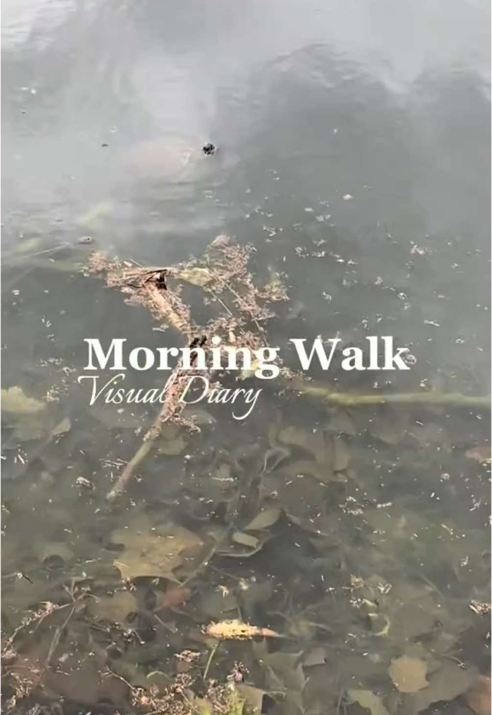 Visual Diary: Morning Walk in the Park 💗#visualdiary #dailyvlog #lifesnapshots #minivlog #diary #morningvibes #goodmorning #positivity #littlethings #appreciation #walking #walkwithme #morningwalk #hotgirlwalk #nature #naturevibes #Vlog #comewithme #naturewalk #parkday #fyp #Lifestyle #blackgirltiktok #lifestylevlog #morningvlog #walkforwellness #naturevibes 