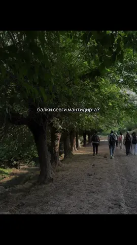 балки ош