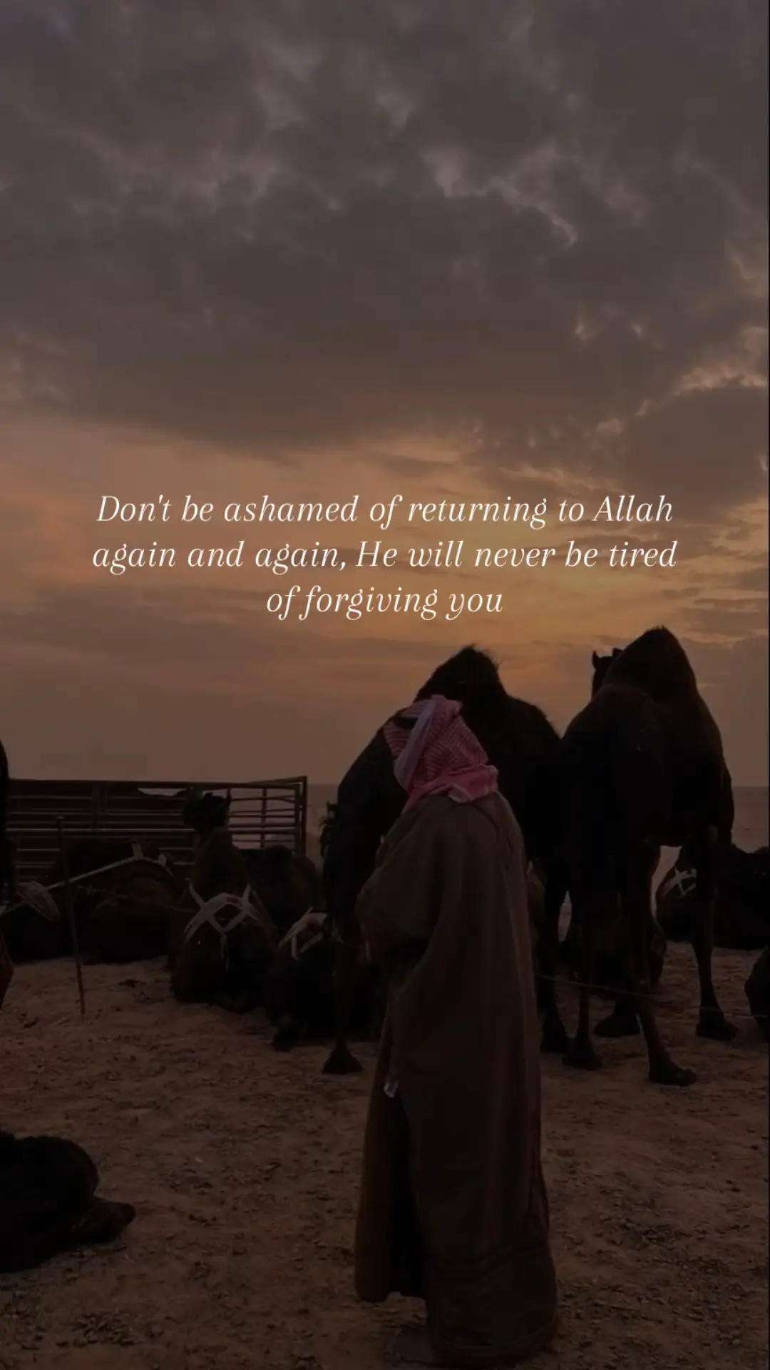 Turn to Allah always❤️ | #islamic #muslim #alhamdulillah #islamicreminder #islamicquotes #allah❤️ 