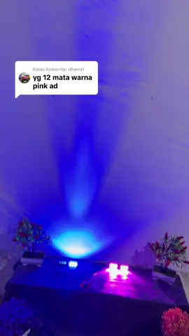 Membalas @dharrel 15 pilihan warna untuk lampu led kedip otomatis tanpa tambahan modul 12 vol 24 vol##lampukolong##lampugrill##lampukedip##Guncang66SpesialGajian