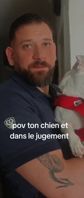 #dog #humour #explorepage #pourtoi #fyp #foryou 