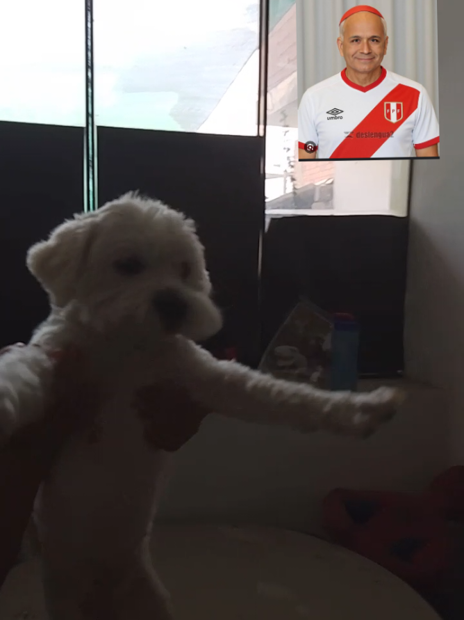 Perú viendo que el nuevo papa  peruano 🇵🇪 
