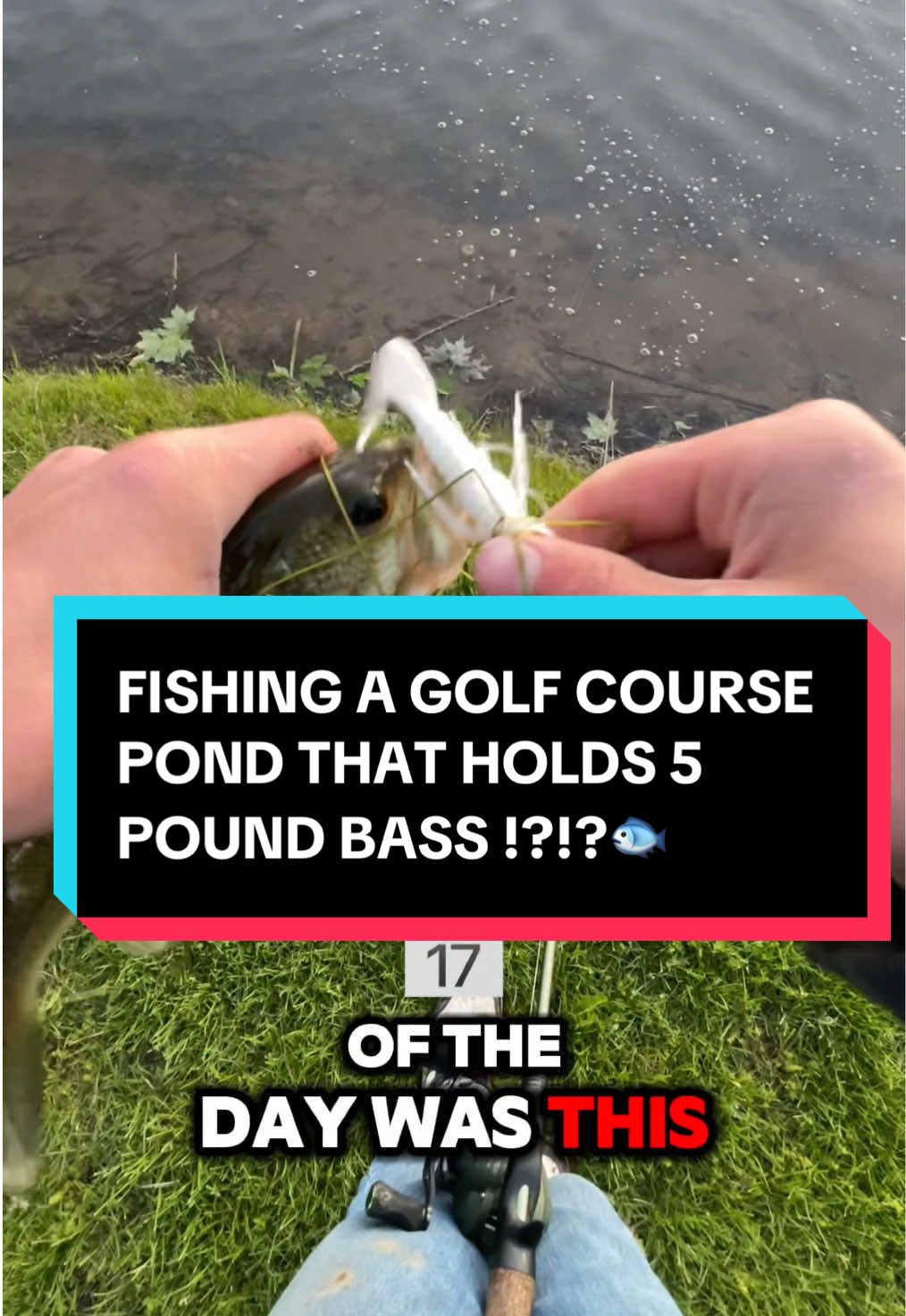 Good day for using a buzz bait🐟#fyp #bassfishing #fishing #fishingvideo #xyzbca #viral #trending #baitcaster #funny @BIGBASSCLARK @Jerm 🎣 @BassBanshee 