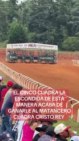 #el5 #cuadralaescondida #fyp 