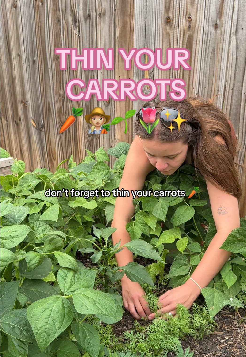 dont forget 🥕  . . . #gardentok #gardening #gardeningmom #backyardgarden #growyourownfood #vegetablegarden #gardening101 #gardeningtips 