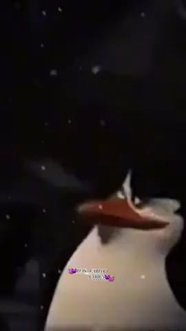 🤍🤍