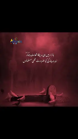 #500k #videoviral #karbala #shia #bibipakdamanlahore🚩😱😭😭👍👌👌👍🙏 #islamic_video 