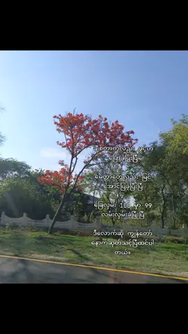 တကယ်မေ့ပစ်လိုက်တော့မယ်😌#ငါလုပ်နိုင်မယ်လို့ထင်ပါရဲ့ကွာ #fypシ゚viral #စာသားcrd 