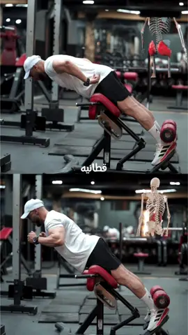 الفرق بين ال Hyperextinsion Glutes و Hyperextinsion Lower Back #تمارين #جيم #دايت #ahmedosama 