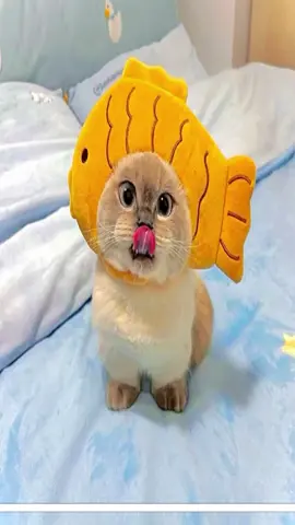 #me #cat #fish #cats 