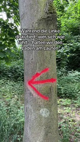 Für Leistung, Disziplin und Heimat – kommentier „🦅“ #heimatliebe #deutschland🇩🇪 