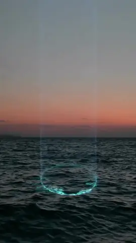 Lachlan Turczan’s water projections😍most beautiful thing I’ve seen lately (videos via his Instagram)