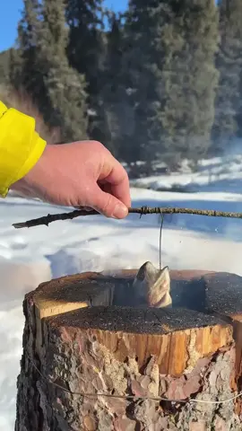 طهي السمكة في الثلج.. وجبة لن تنسى #تخييم_ثلج ❄️   - #صيد_السمك_في_البرد 🎣   - #طبخ_في_البرية 🔥   - #مغامرة_شتوية 🏕️   - #حياة_البرية 🐟 #IceFishing 🧊   - #WinterCamping ⛺   - #CatchAndCook 🍳   #SurvivalFood 🏔️   #SnowAdventure ❄️ 