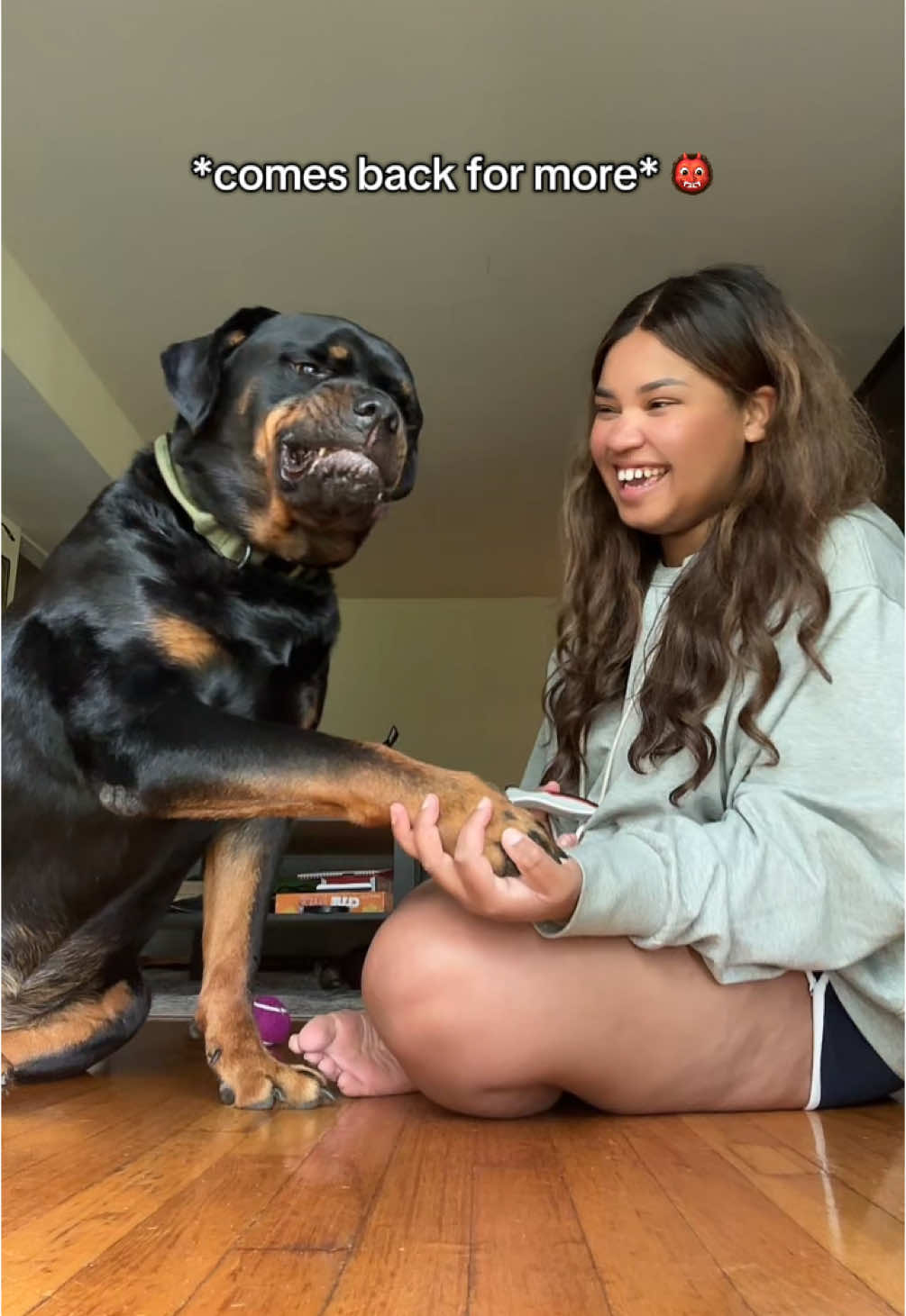 Replying to @megan.leighxo PAWSITIVE REINFORCEMENT 😂 #rottweiler #rottweilersoftiktok #dogsoftiktok #doggiesoftiktok #PetsOfTikTok 