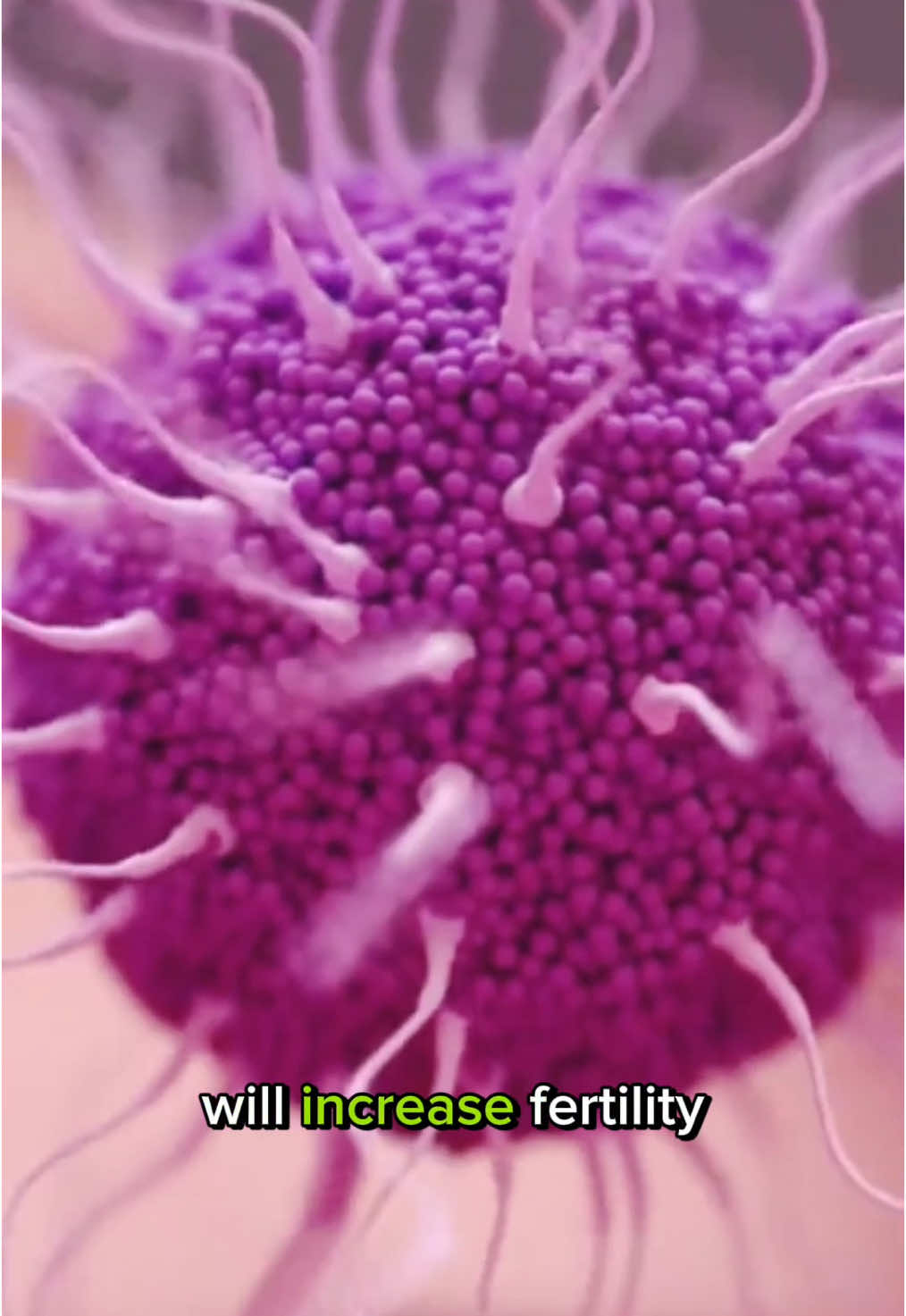 5 foods that will increase fertility - number 4 is the most powerful #health 