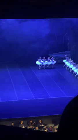 Pov: você foi assistir seu ballet preferido da vida e assistiu isso aqui! PERFEIÇÃO  #lagodoscisnes #theatromunicipaldoriodejaneiro #quarteto #cianebranco 