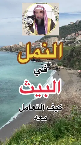 النمل في البيث كيف التعامل معه#islam #tik_tok #صدقه_جاريه #الفوزان_الالباني_ابن_باز_ابن_عثيمين 