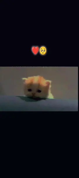 #fypシ゚ #❤️🥺 