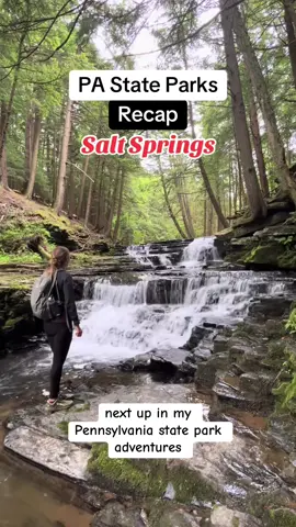 Check out Salt Springs State Park just north of Montrose in NEPA.   This is a beautiful park with 15 miles of trails.  We took the Hemlock Trail to the Fall Brook Trail to the Gorge Trail to make a 2 mile loop.   It’s a moderate hike with some steep sections and ledges.   Check out the 3 waterfalls on Fall Brook.  I was able to access the upper 2 waterfalls, but I could only see the lower waterfall from above.    There is an ADA accessible trail in the park.  Park in the lot by the Overlook Trail.  Take this trail to the boardwalk and follow to the overlook.    This is a really fun park to explore. 😍  #hikingpa #paparksandforests #saltsprings #montrose #waterfalls #pennsylvania  #LiveOutlandish 