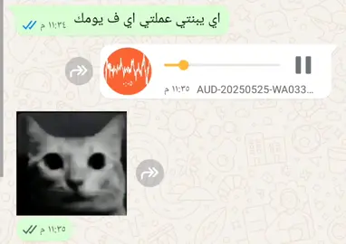 كل دا حصل 🙂 #😂😂😂😂😂😂😂😂😂😂😂😂😂😂😂 #كوميديا #ريكوردات_واتس #شات_واتس #creatorsearchinsights #ضحك #ميمز #هههههههههههههههههههههههههههههههههههههه 