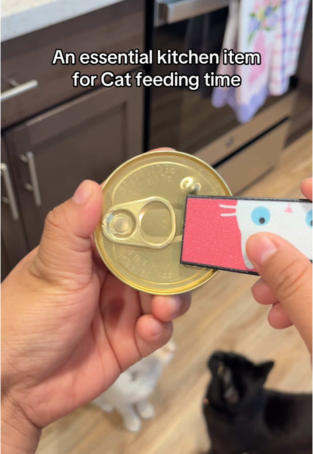 Every cat meal I use this can opener from tab buddies. My kitties know when it’s cat feeding time lol. I’m so obsessed with it that I have a total of 6 of them. Pretty great for anyone that has longer nails or can’t open canned foods. #canopener #canopenerhack #KitchenHacks #tabbuddyxl #petfood #wetfood #catfood #catfeeding #catmom #longnailsproblems #tiktokshopmemorialday #dealsforyoudays #tiktokshopcreatorpicks 