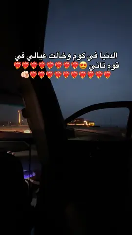 #دمياط_الجديدة 