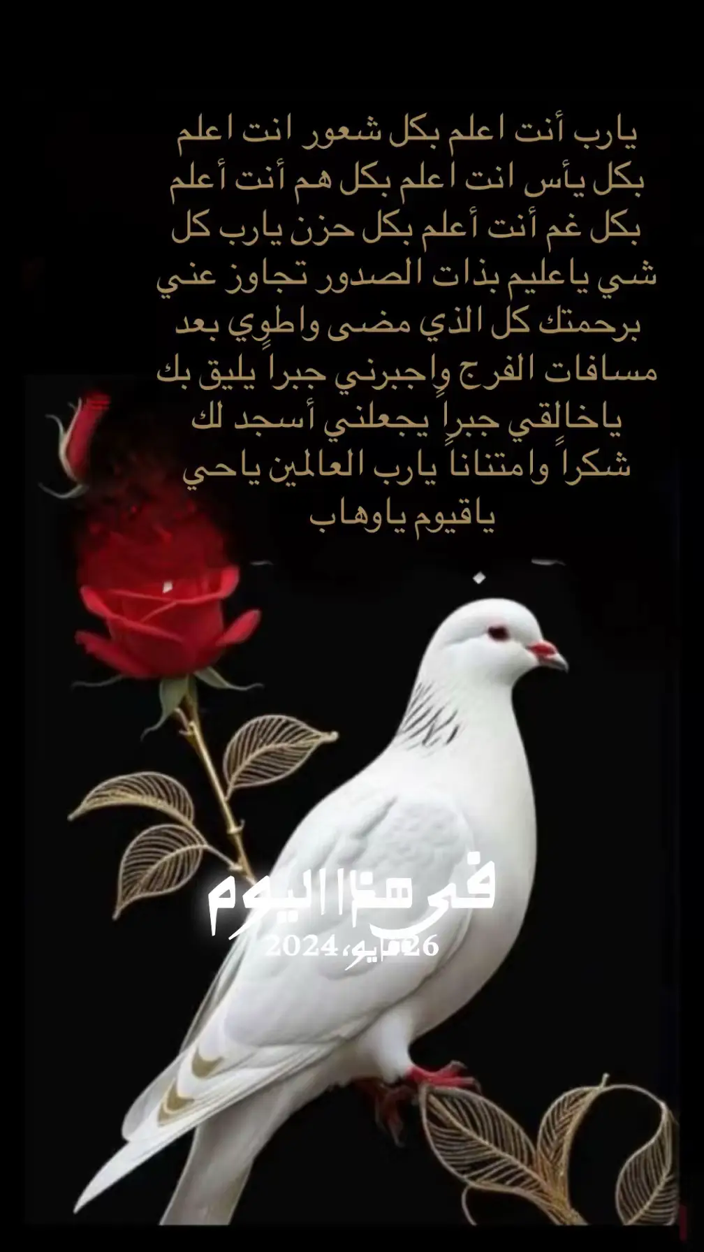 يارب يارب 🤲 #اكسبلور 