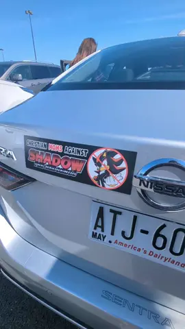 simply epic #shadowthehedgehog #sonic #sonicthehedgehog #bumperstickers #SmallBusiness #meme #cringe #epic #gift #fyp #fypシ゚viral #foryoupage 