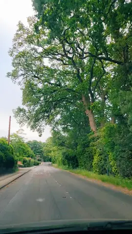 lokan tu puch ke rowan #attaullahkhanesakhelvi #sadsong #pakistani #punjabi #nature #beautiful #trendin #uklife #grow #growmyaccount #pageforyou #page 
