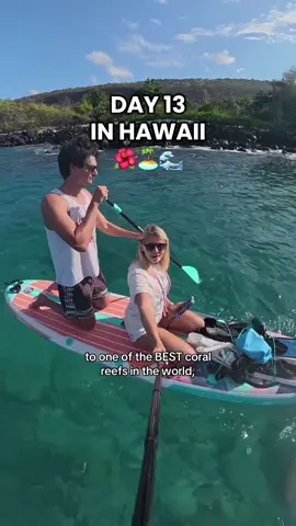 Ok but why was he giving me that side eye…👀 #paddleboarding #diving #crocodile #shark #hawaii #hawaiitrip #hawaiitravel #k#konahawaiit#thebigislandt#thingstodohawaii#ocean 