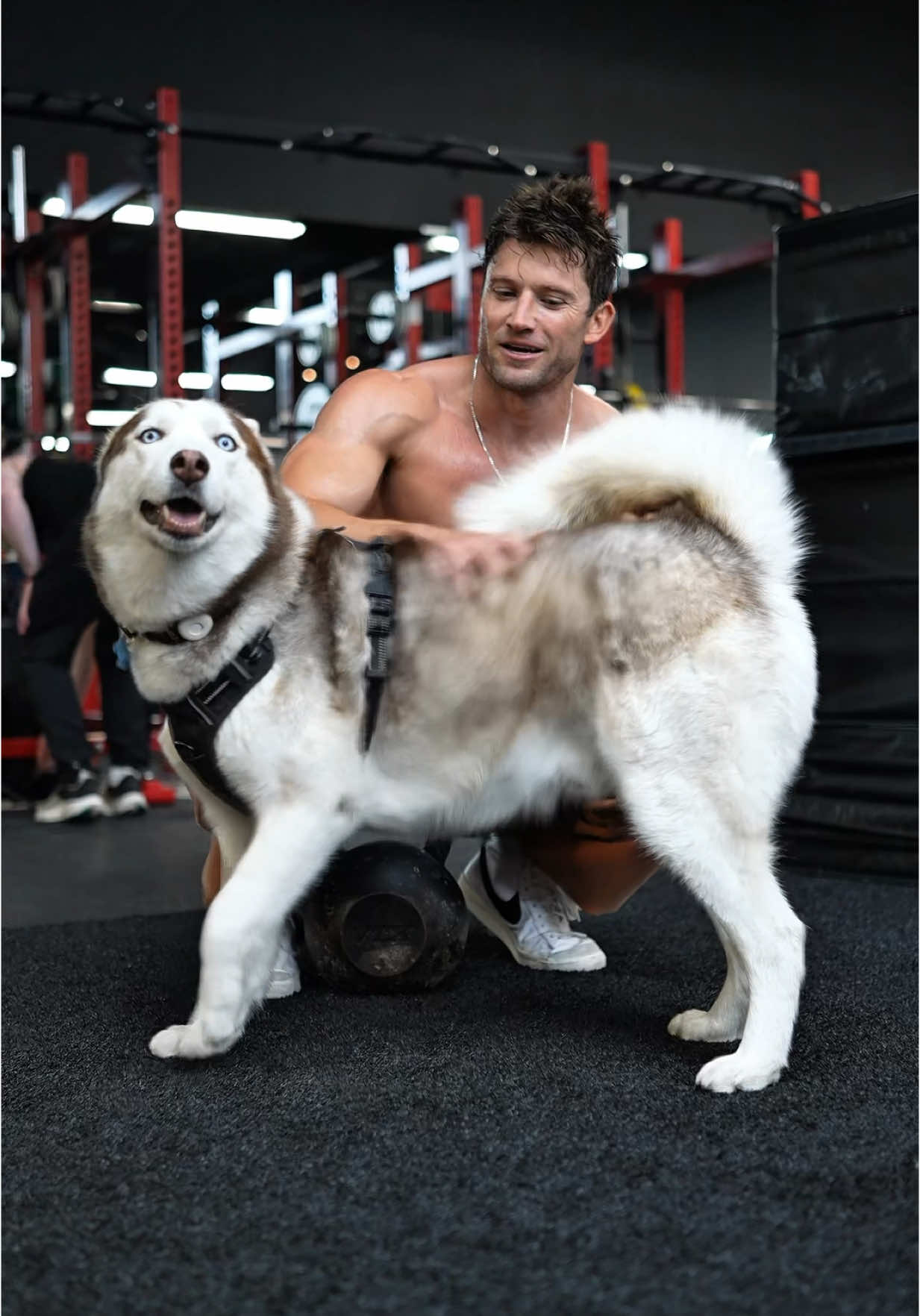 When a dog walks up to you and lets you pet him 🫠 #workoutmotivation #gymmotivation #GymTok #CapCut 
