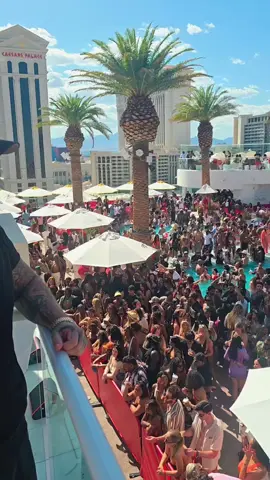 #Vegas #LasVegas #LasVegasStrip #VegasNightlife #Drais #DraisLV #DraisNightclub #DraisBeachclub #DraisPromoter #DraisHost #VegasPromoter #VegasHost #VegasVIPHost #VegasVIP #VegasSummer #ThingsToDolnVegas #VegasAttractions #VegasTikTok #vegasnights #Nightlife #mdw #BestNightclubs #gunna #vegashiphop 