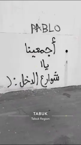 اجمعينا يا شوارع الدخل🫵🏻🤧.#تبوك #الدخل٢ #fyp #foryou #الشعب_الصيني_ماله_حل😂😂 #اغاني_مسرعه💥 