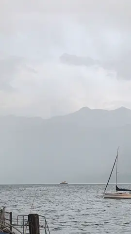 #سويسرا🇨🇭 #بحيرة_ثون_سويسرا🇨🇭 #explore  #viral #مالي_خلق_احط_هاشتاقات 