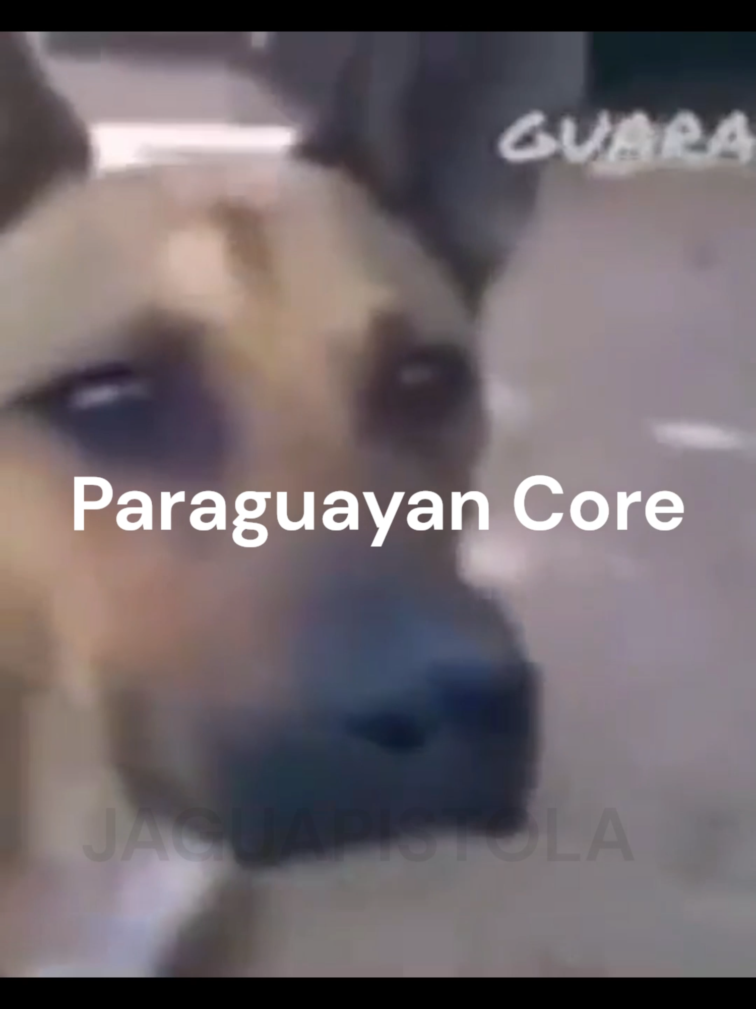 Paraguayan Core #1  #py #core #hope #fyp #foryoupage #memestiktok #haso #ueno #bancofarandulero #tioslan #paratii #paraguay #tembo #Jaguapistola