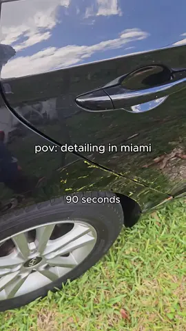 How to detail a car in 90 seconds - Book Now (305) 985-9227 info@miamimobilecardetailers.com -Full Details -Mini Details -In & Out Ceramic Coatings -Paint Correction -Headlight Restoration We give you the best results while using the latest equipment and highest quality products #detailing #detailers #detailingworld #detailingmiami #carcare #smallbusiness #miami #florida #usa #fyp #foryoupage #fy #foryou #cars #trending #carcleaning #cleancar #satisfying #professionaldetailing #miamimobilecardetailers
