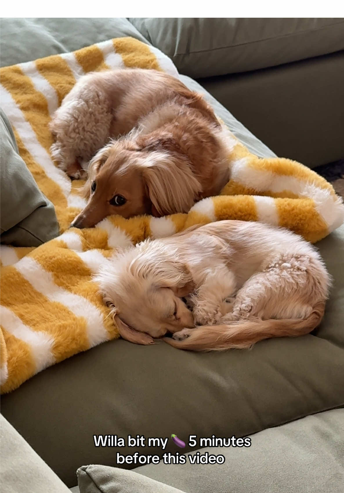 sleeping with both eyes open 