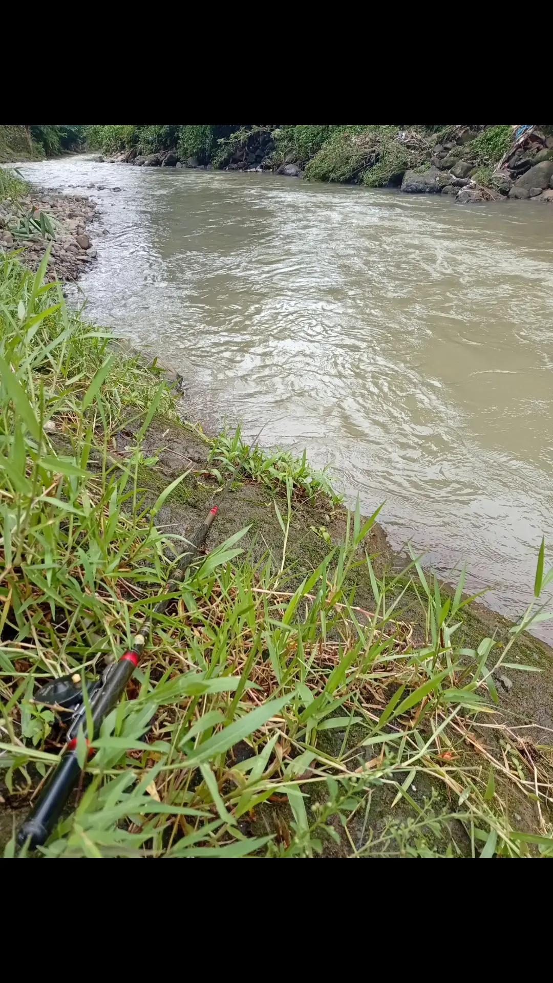 cara mancing ikan di sungai #cara #mancing #ikan #wader #sungai @Fredy🔥 @Dion Wahyoe @saprolokey 