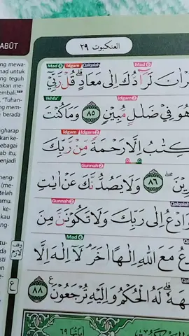 idgommutaqoribain#seolah olah huruf yg pertama tidak ada#fypシ゚viral🖤video🤗foryou 