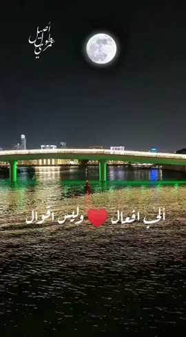 الحب افعال وايس اقوال #الحب #الحب_لايفهم_الكلام #الحب_الحقيقي #الوفاء_الحقيقي #الاصاله_عنوان✍️🥇 #CapCut #اكسبلور #اكسبلورexplore 
