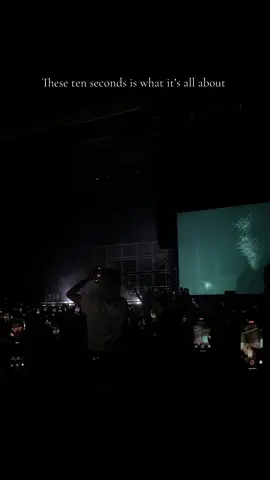 @RÜFÜS DU SOL with your best friends it’s actually what it’s all about #fyp #rufusdusol #innerbloom 