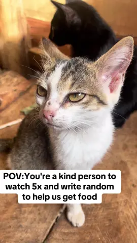 POV:You're a kind person to watch 5x and write random to help us get food