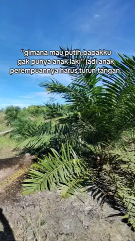 kita gas terus sawitt 🔥🔥#menyalaabangkuh🔥🔥🔥🔥🔥 #petanisawit🌴 #kebunsawit #anakpetanisawit #petanisawitkalimantan #fypage 