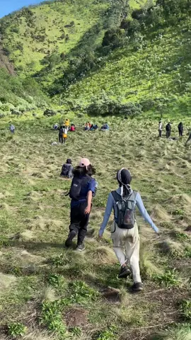 yakin gamau lari-larian disini? #gunungmerbabu #merbabuviaselo #merbabu3142mdpl #magelang24jam #foryoupage 