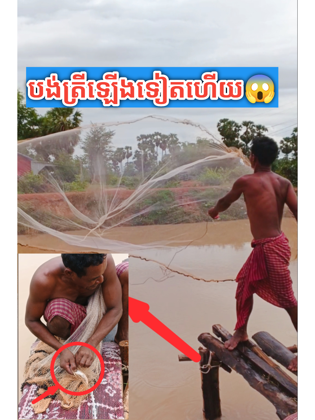 ធ្លាក់ភ្លៀងមួយមេធំ ត្រីត្រូវទៀតហើយបងប្អូន #fish #fishing #fishinglife #fishingislife #fishingtrip #bonus #mmo2024ដៃថ្មី #MMO2024 #mmoដៃថ្មី #fishtank #realsfb