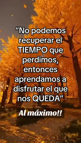 #frasesmotivadorasypositivas #frasesparadedicar #frasesmotivadoras #frasespositivas #frases_de_todo #frasesyreflexiones #frasesinspiradoras #frasesbonitas #enparati #parati #teamwork #team #Motivaciondelavida #reflexionesdelavida #motivacionpersonal #videomotivador #siempreadelante #mentepositiva #Viral #vive  #tu #vida #frases #motivacion  #frsesmotivadoras #frasestiktok #reflexiontiktok #motivational #frasereflexion #frasesyreflexiones #Reflexion #sigueme #bendiciones #paratiiiiiiiiiiiiiiiiiiiiiiiiiiiiiii 