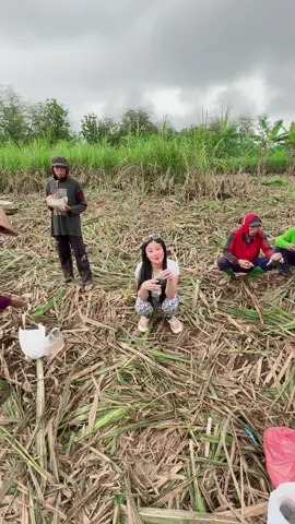 Ngirimmm sarapannn pagiii#nebangtebu #fypage 